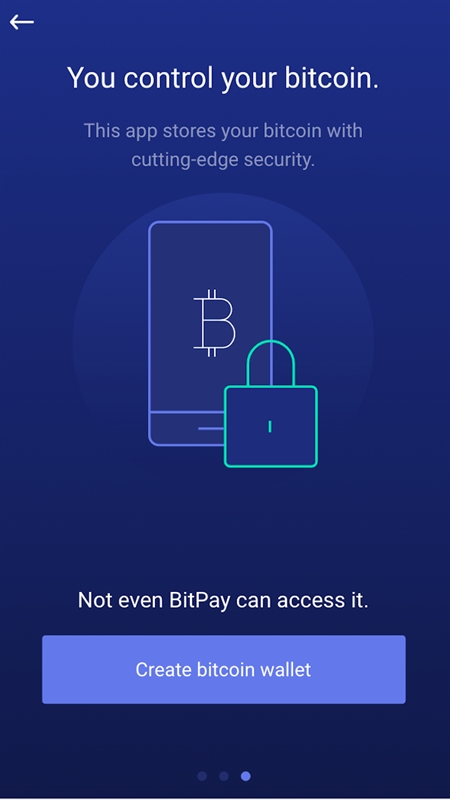 is bitcoin wallet app safe