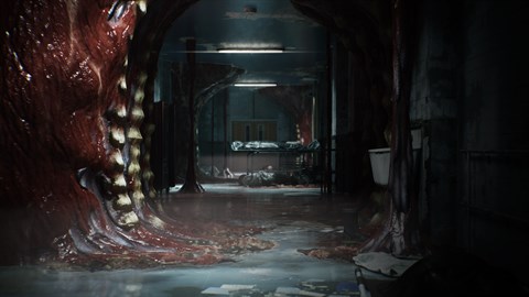 Oxide - Full Board Pack