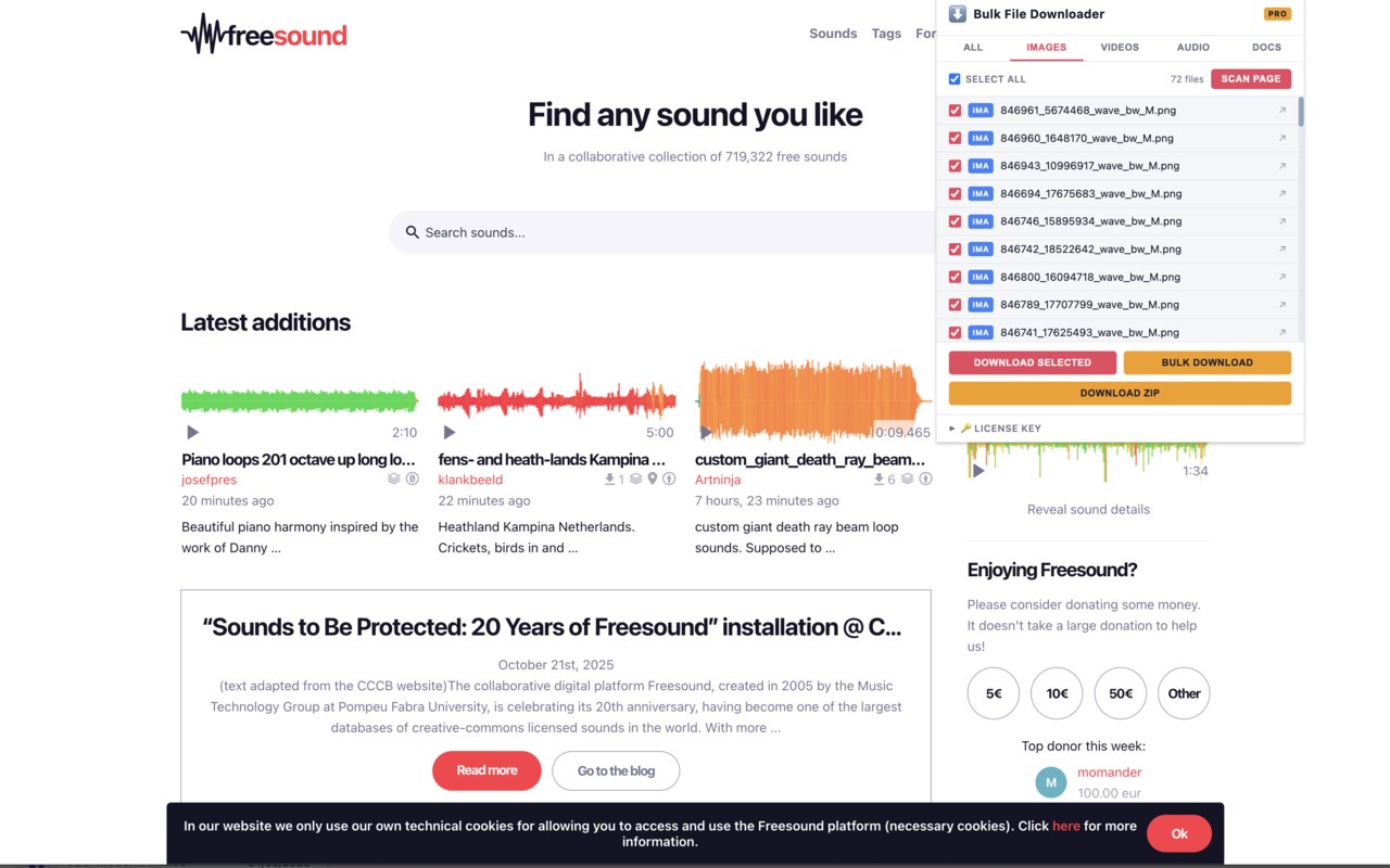 Bulk File Downloader