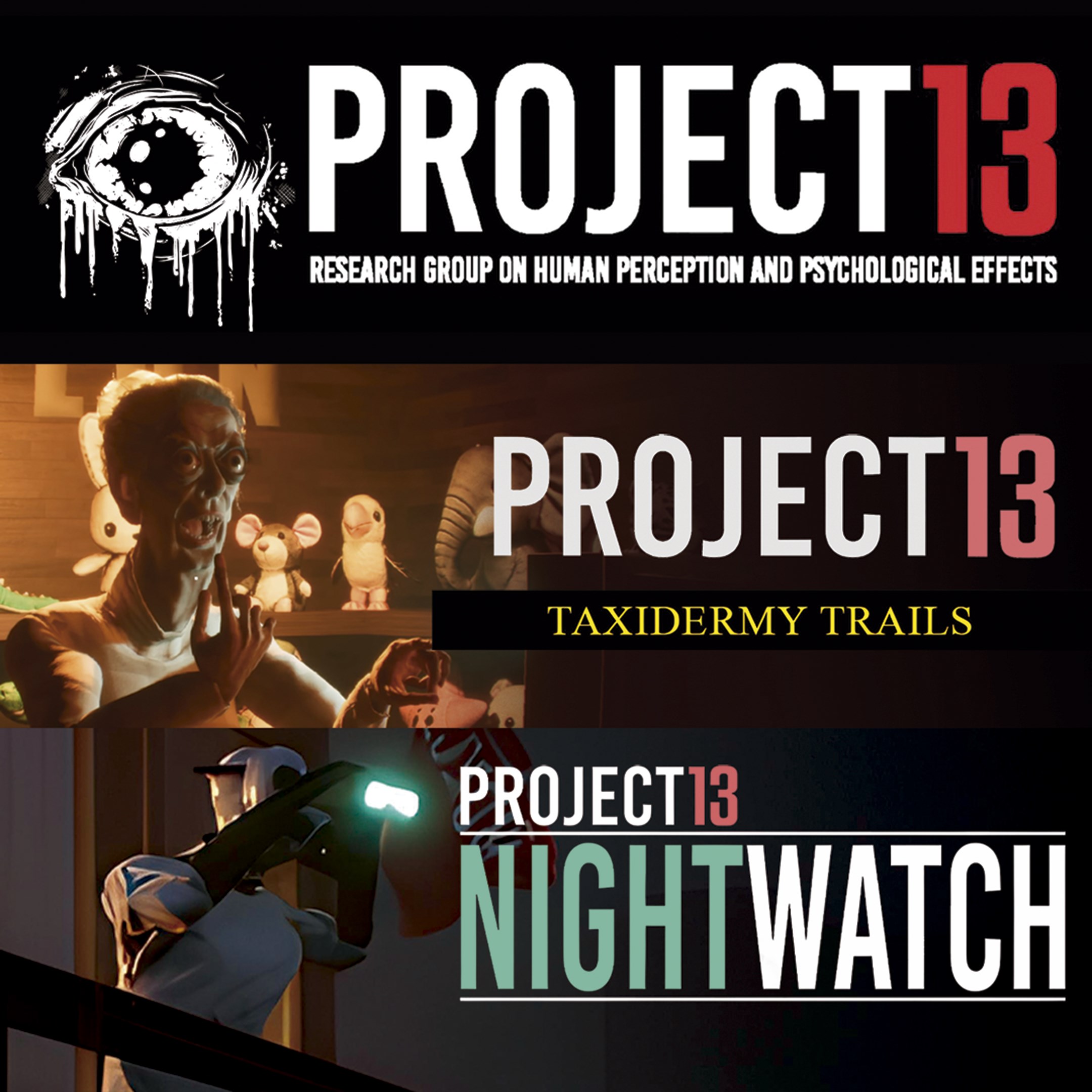 Project 13 Bundle