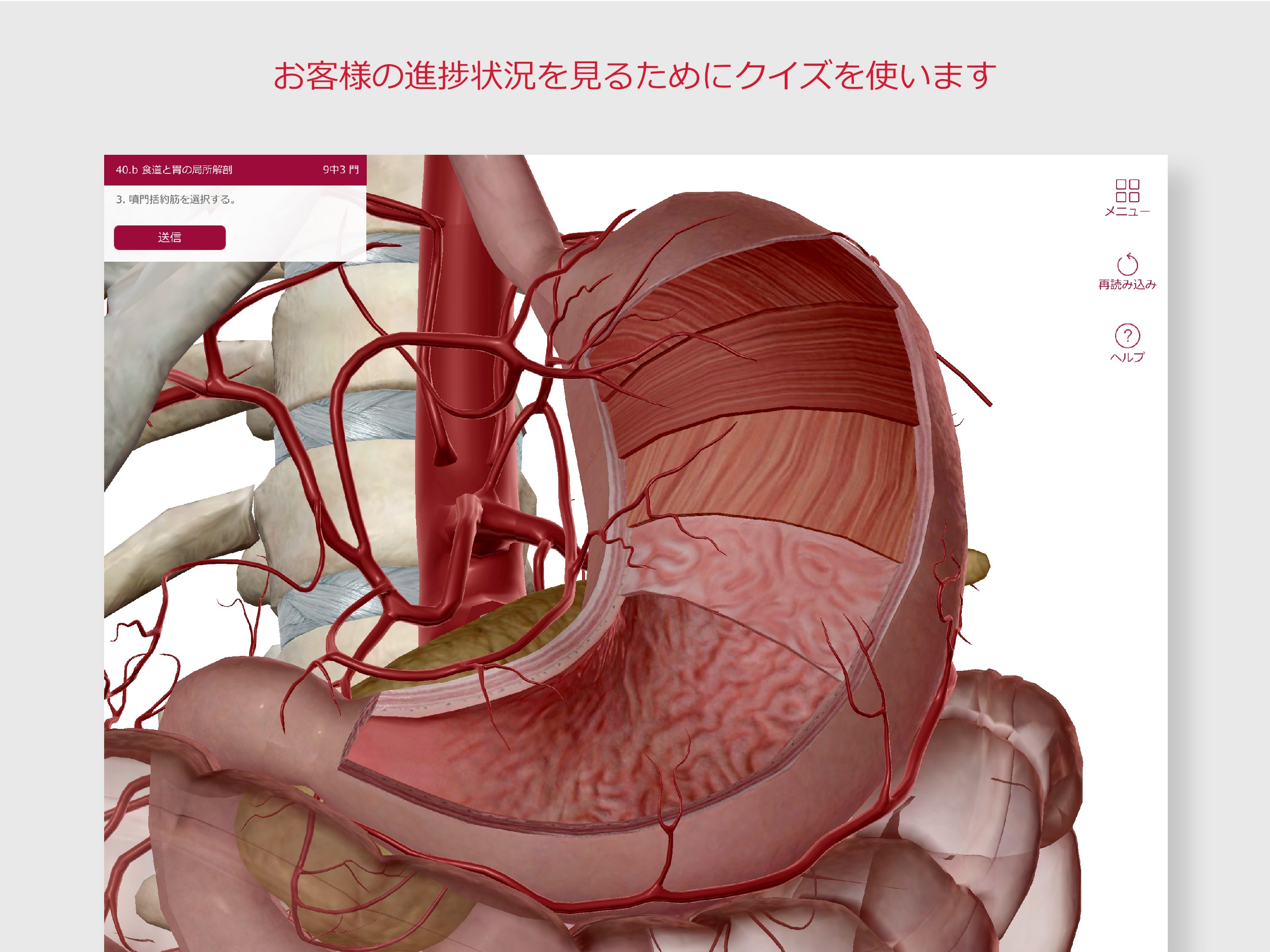 解剖生理学1から3弾おまとめ！➕USB Amazon.co.jp: 【改訂版】疾患とつながる 解剖生理図鑑 : ゴロー