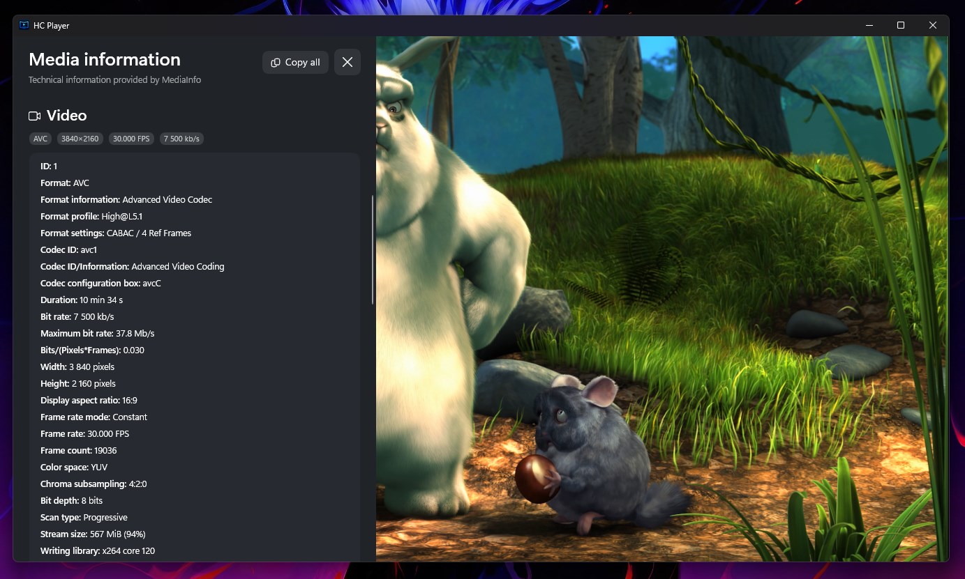 HC Player screenshot