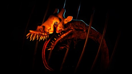 Zoochosis