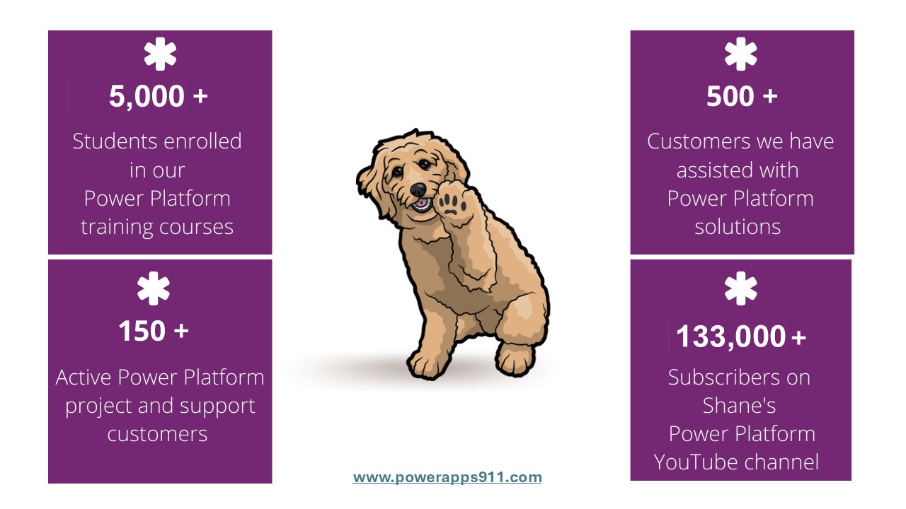 Snapshot 1 of Private Custom Power Platform Training