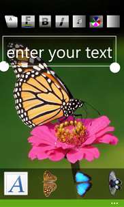 Text on photo: butterflies screenshot 1