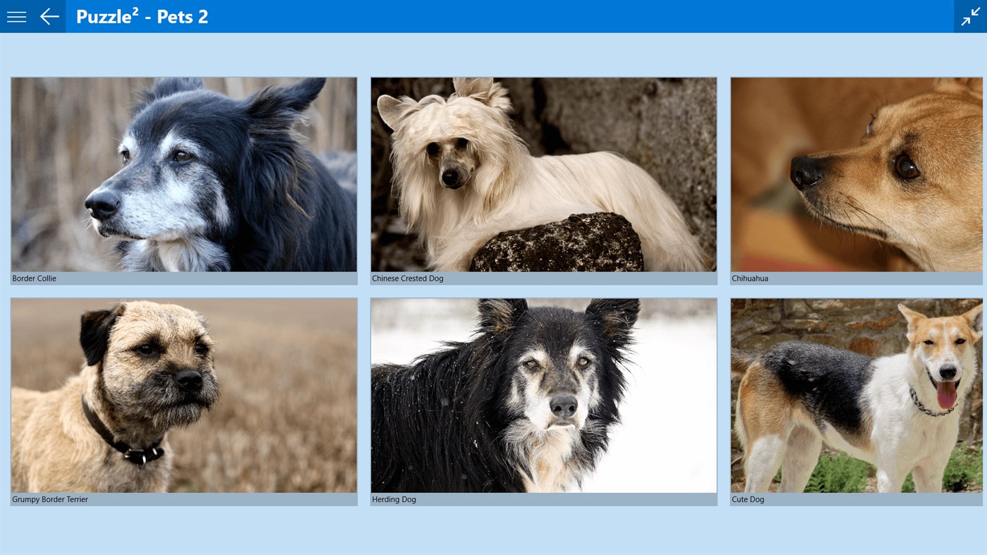 #3. Puzzle² - Pets 2 (Windows) 来自: fonaps.com