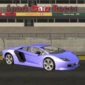 Sport Cars Racer