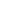 IP Camera Monitor