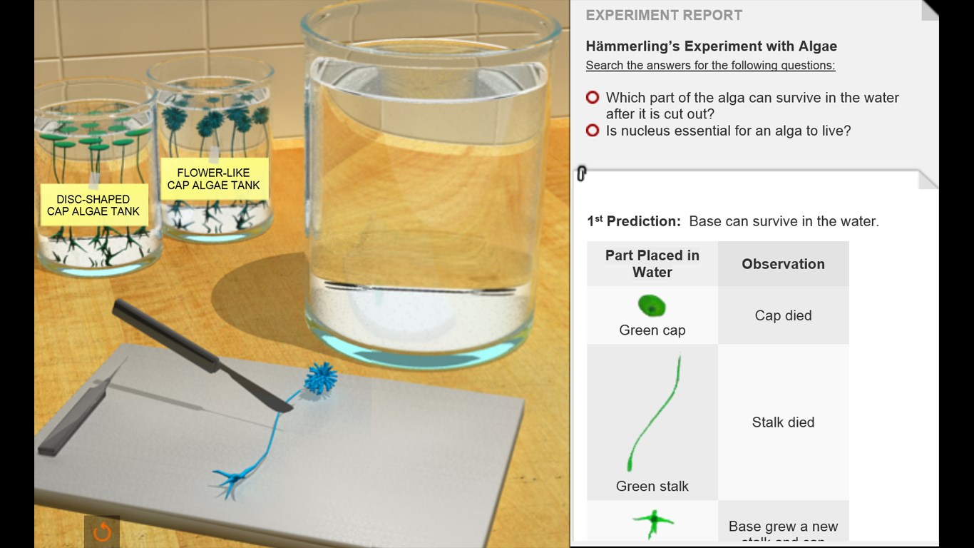 Эксперимент гриффитса 1928. Опыт джозефа пристли фотосинтез. Pasteur experiment. Фарадей ppt. Эксперимент з.
