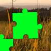 ByteSwarm Puzzle
