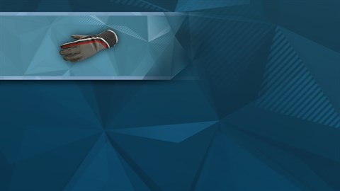 F1® 2019: Gloves 'Apex'