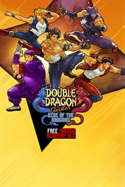 Double Dragon Gaiden: Rise of the Dragons