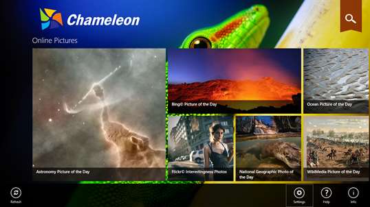 Chameleon screenshot 1