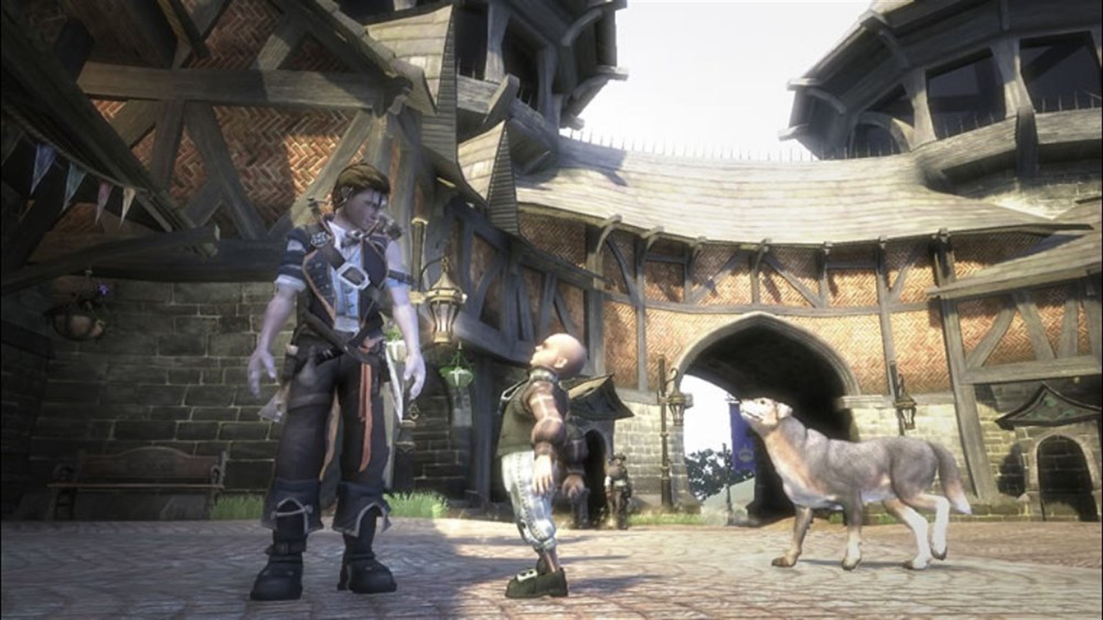 Fable II — captura 3