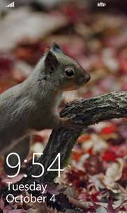Squirrel LockScreen screenshot 3
