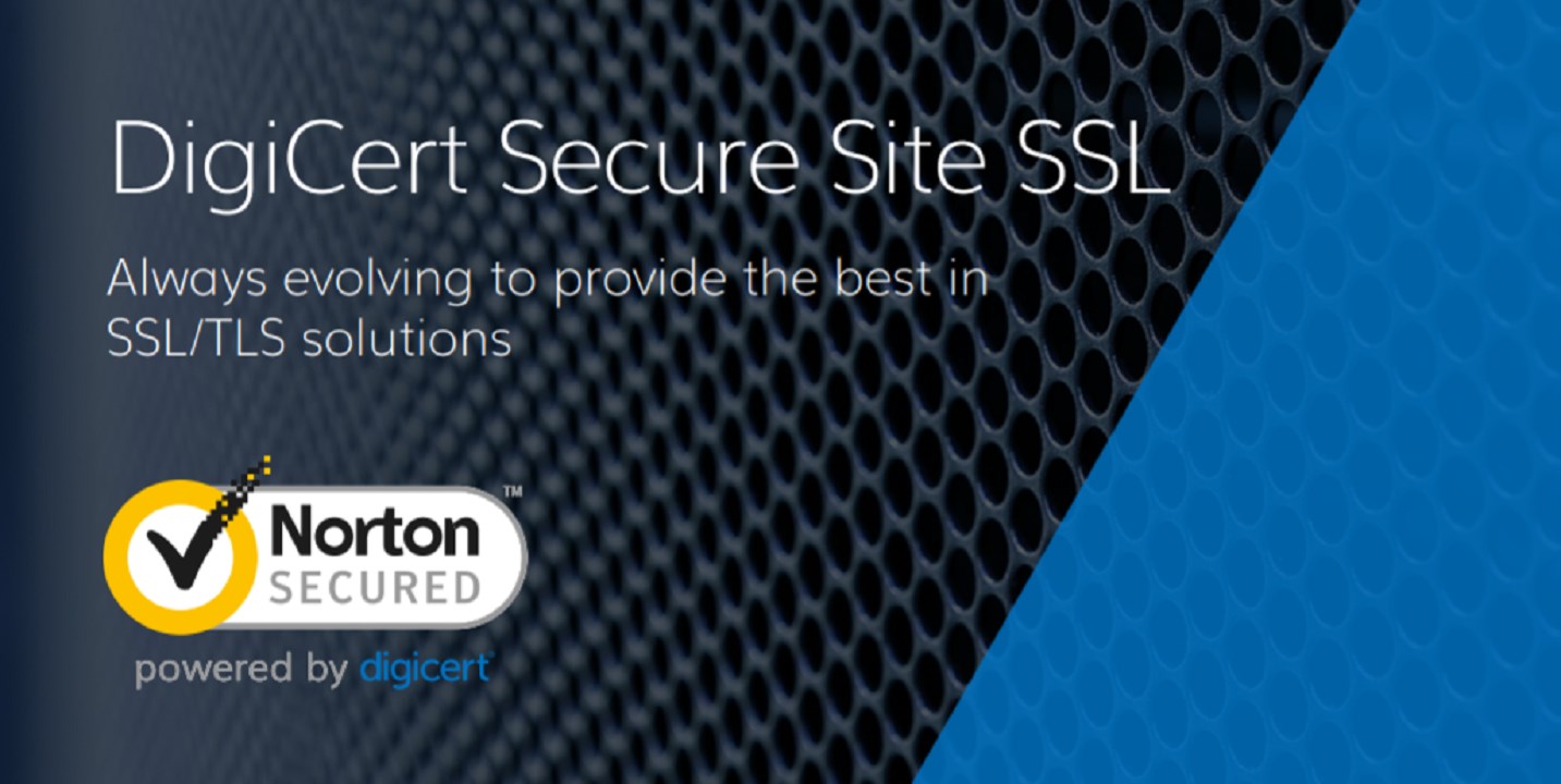 Snapshot 1 of DigiCert SSL/TLS Certificates Listing