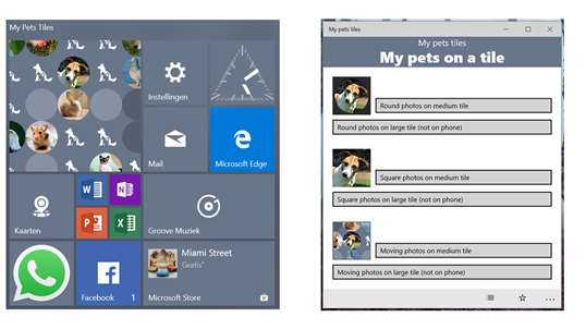 My pets tiles screenshot 2