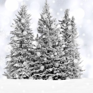 White Christmas Countdown HD Wallpapers Theme