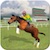 Horse Racing 2016
