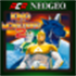 ACA NEOGEO KING OF THE MONSTERS 2 for Windows