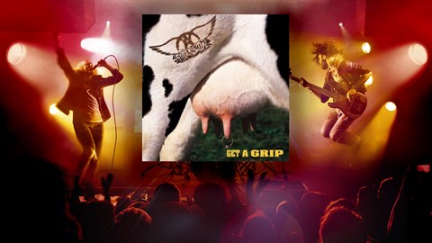 "Cryin'" - Aerosmith