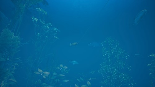 Bassmaster® Fishing: 2022 Bassmaster Classic®