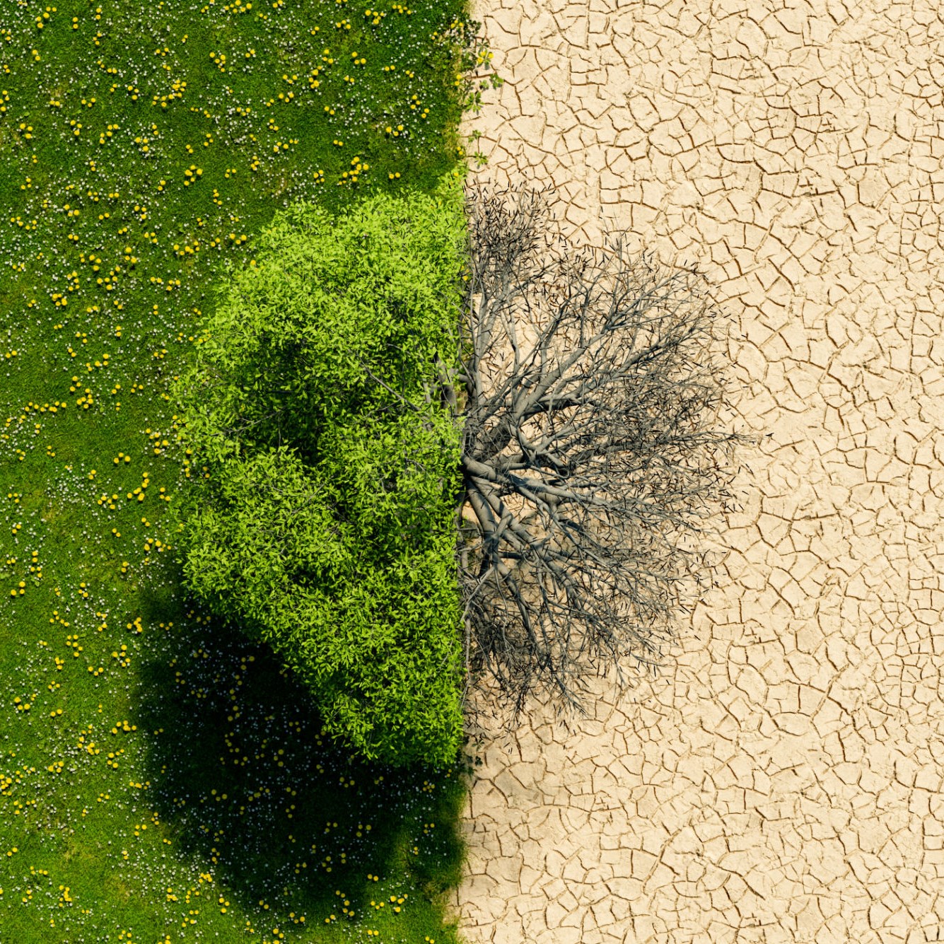 Climate Change Landscape - Microsoft Edge Addons