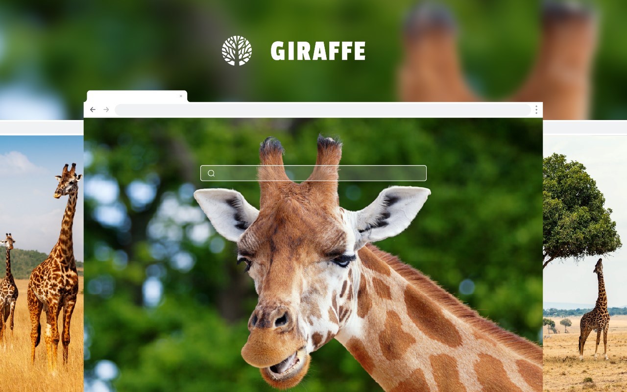 Giraffe HD Wallpaper New Tab Theme