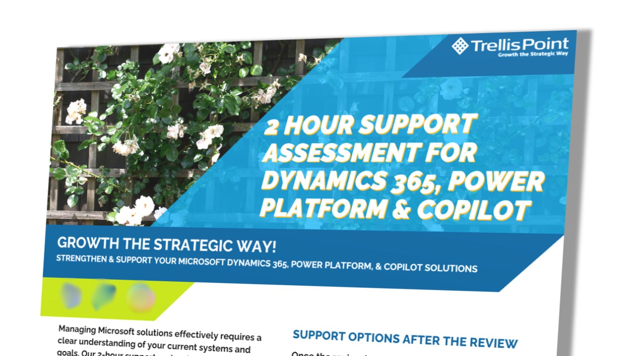 Snapshot 2 of Support for Dynamics 365, Power Platform & Copilot: 2-HR Assessment