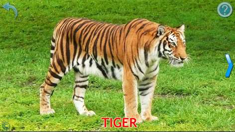 Animals for Kids, Animal Pictures Sounds Learning Games for Toddlers Screenshots 2