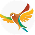 VPN-like Proxy Extension