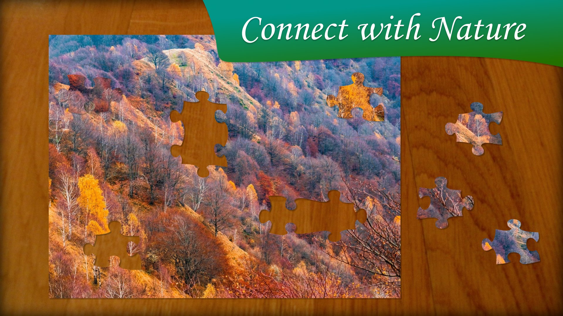 Jigsaw Puzzle Nature screenshot
