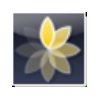 Express Animate per Animazioni Video