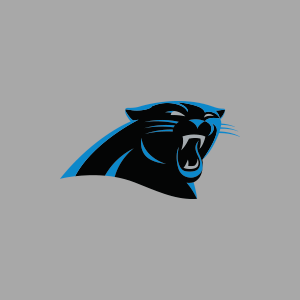 carolina panthers official store