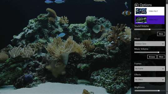 Coral Fish Aquarium screenshot 3