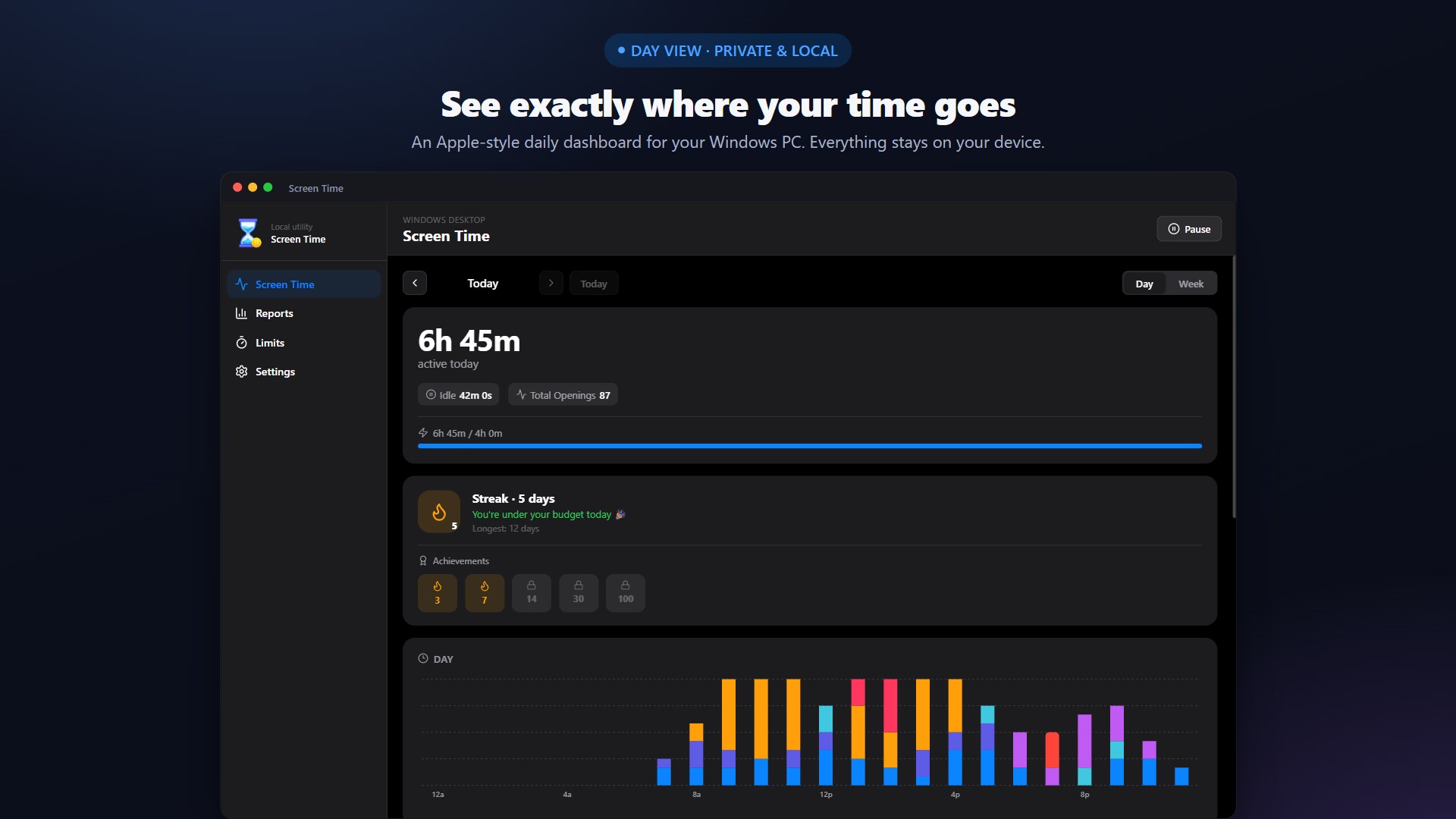 Screen Time app usage dashboard
