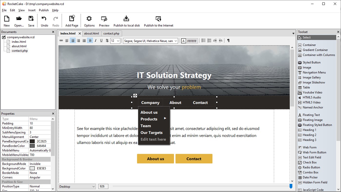 #1. RocketCake Professional (Windows) 作者: Ambiera