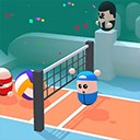 Volleyball Arena Sports Game