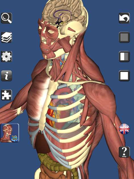 3D Bones and Organs (Anatomy) Screenshots 1
