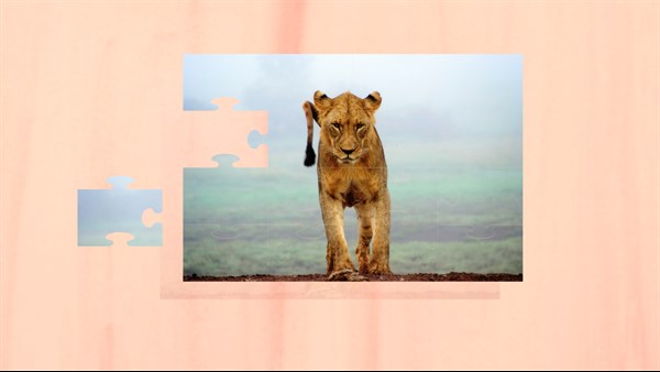 Wild Animal Jigsaw Puzzles - Classic Animal Puzzles — 7