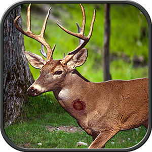 Get Jungle Animal Hunter - Microsoft Store en-TT