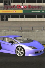 Sport Cars Racer
