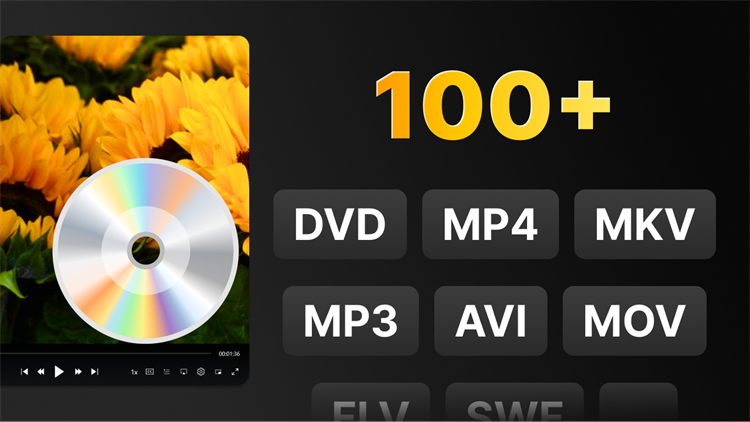 VidForth DVD Player: Free Video Player - PC - (Windows)