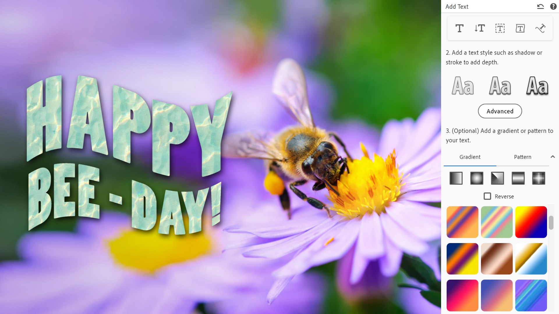 Download Adobe Photoshop Elements 2025 With Crack (Latest Version) 2