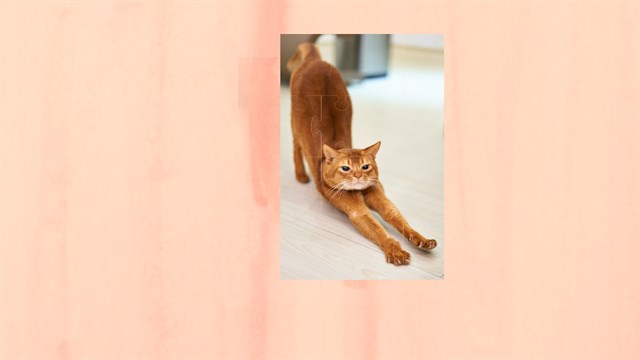 Jigsaw Puzzle Sleepy Cats screenshot 4