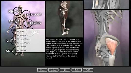 Muscle and Bone Anatomy 3D screenshot 7