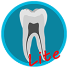 Dental Corpus ANATOMY lite