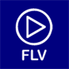 FLV Media Player