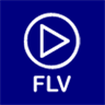 FLV Media Player