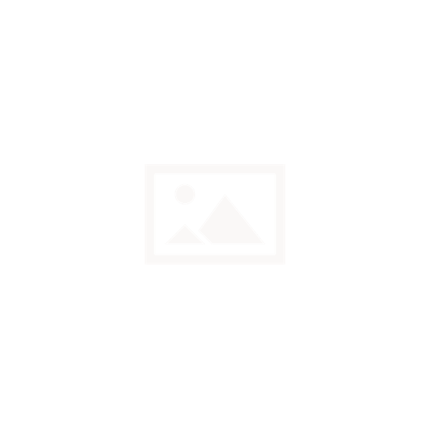 Image Transcoder